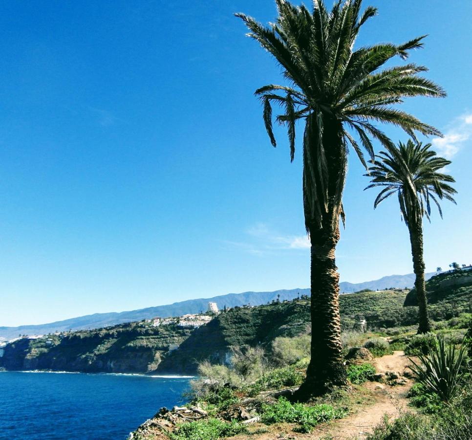 La Pardela Oceanfront Daire Los Realejos Dış mekan fotoğraf