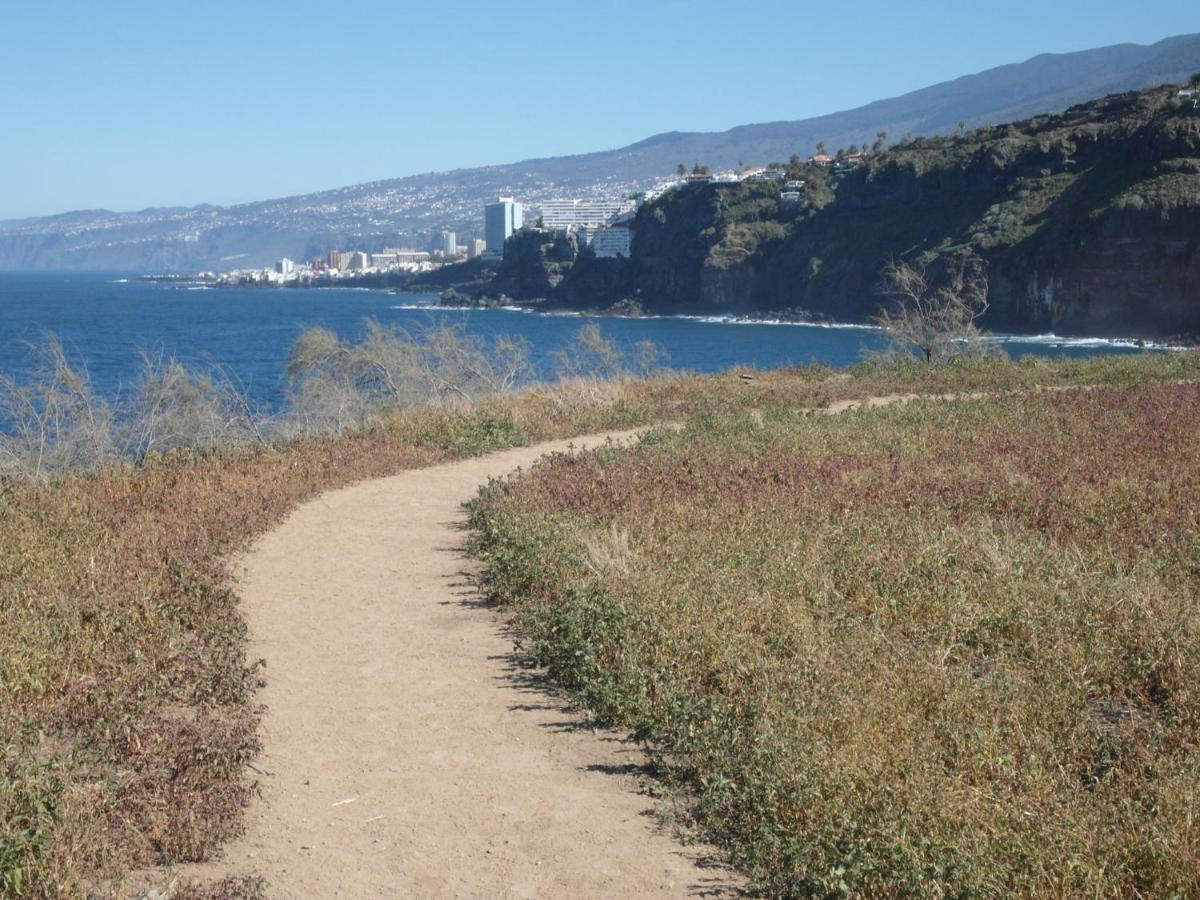 La Pardela Oceanfront Daire Los Realejos Dış mekan fotoğraf
