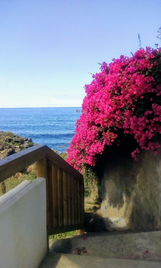 La Pardela Oceanfront Daire Los Realejos Dış mekan fotoğraf