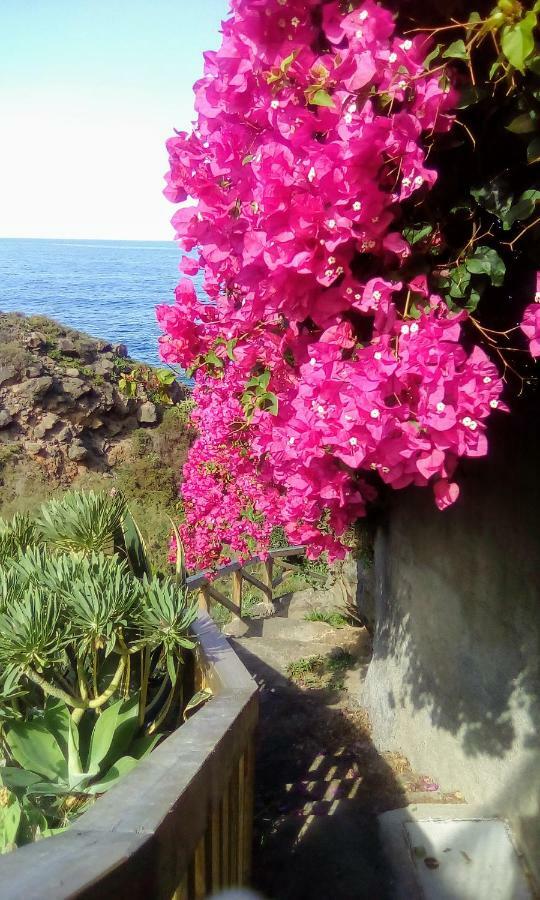 La Pardela Oceanfront Daire Los Realejos Dış mekan fotoğraf